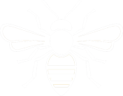 bee.png